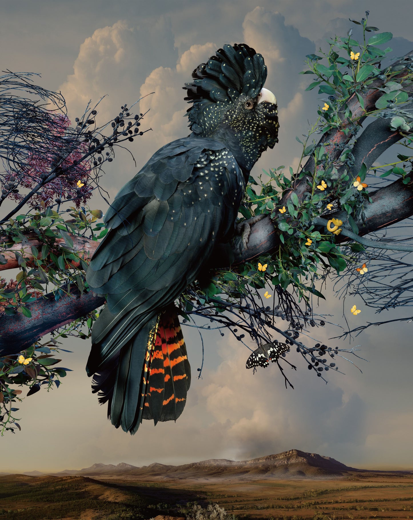 Awakening #10 - Hard Land by Joseph McGlennon